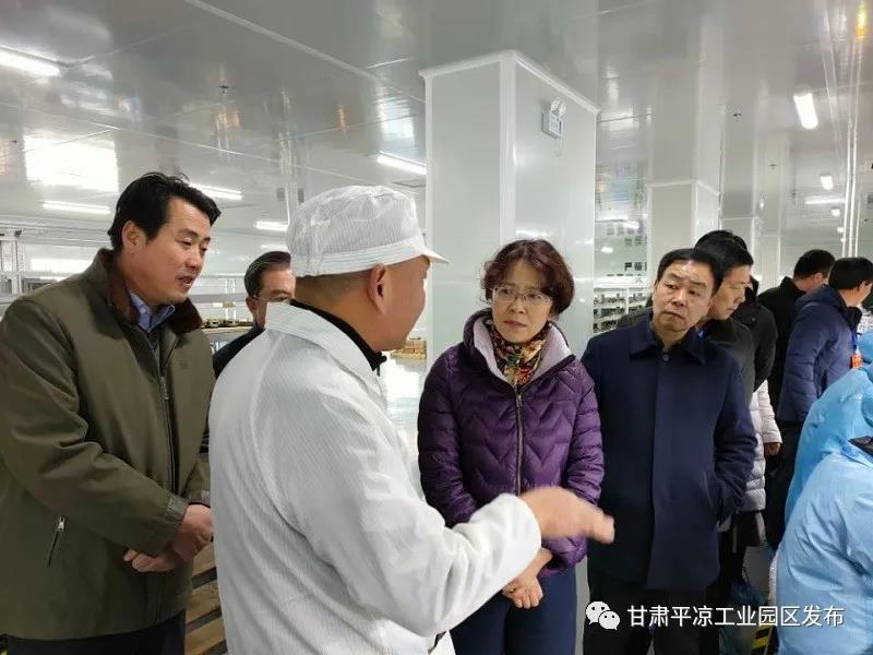 省市人大代表来米兰官方站网页版-米兰MiLan（中国）工业园区视察(图2)